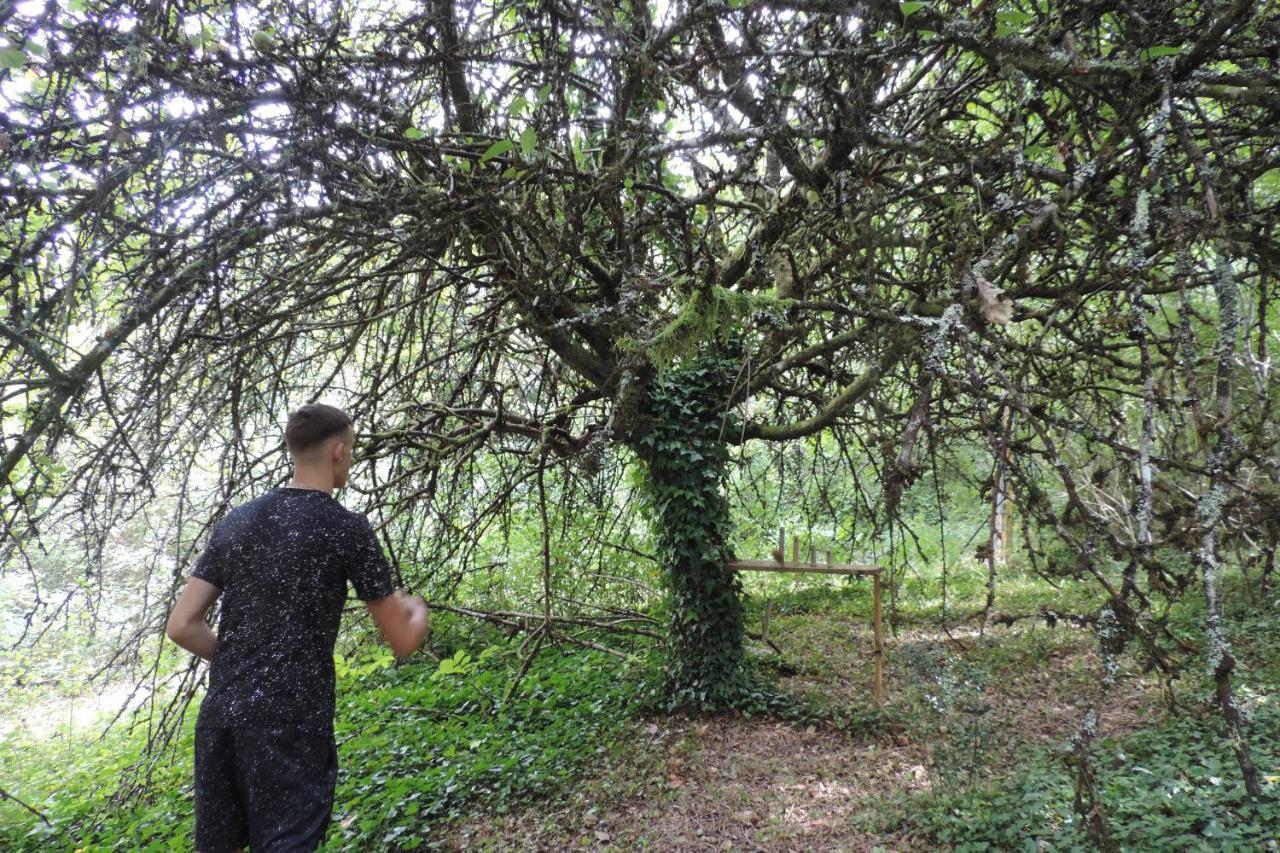 Le Jardin Des Paons Acomodação com café da manhã Issac Exterior foto